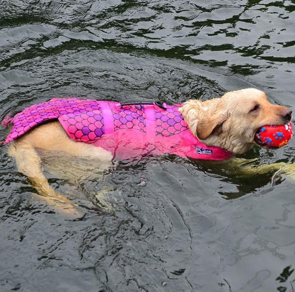 pet life jackets
