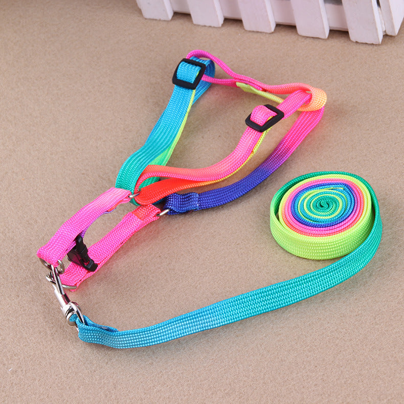 Leashes colorful