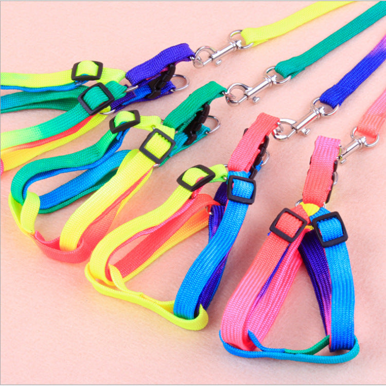 Leashes colorful