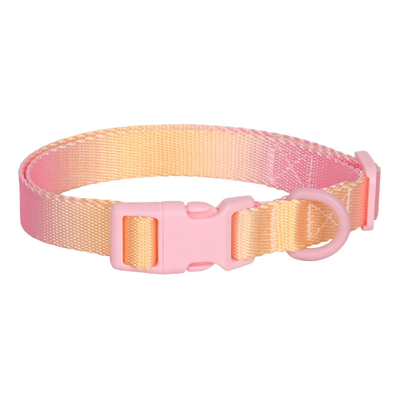 Dog Collar