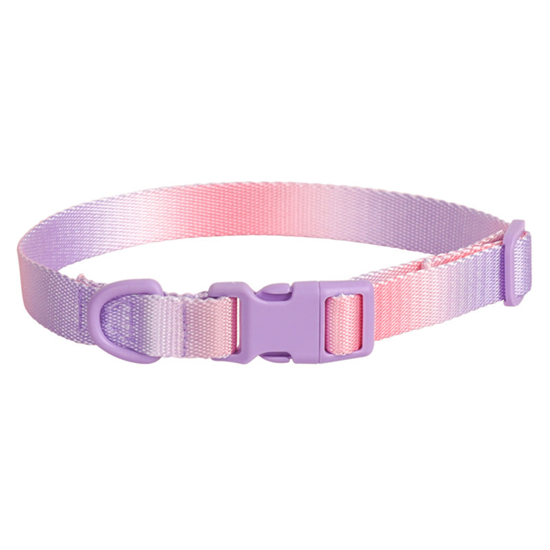 Dog Collar