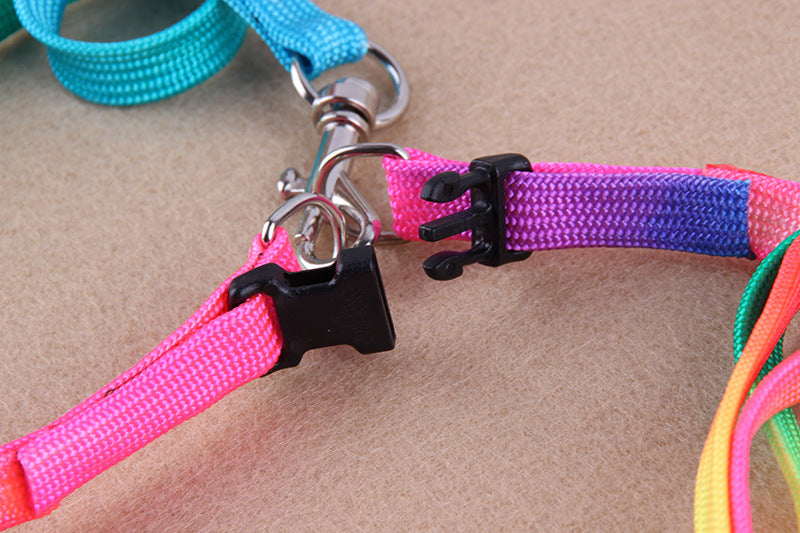 Leashes colorful