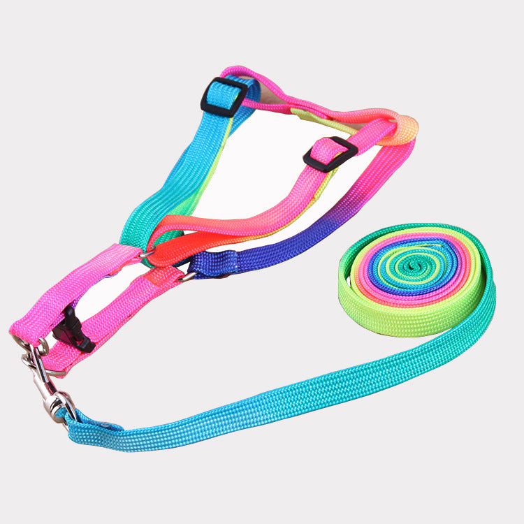 Leashes colorful