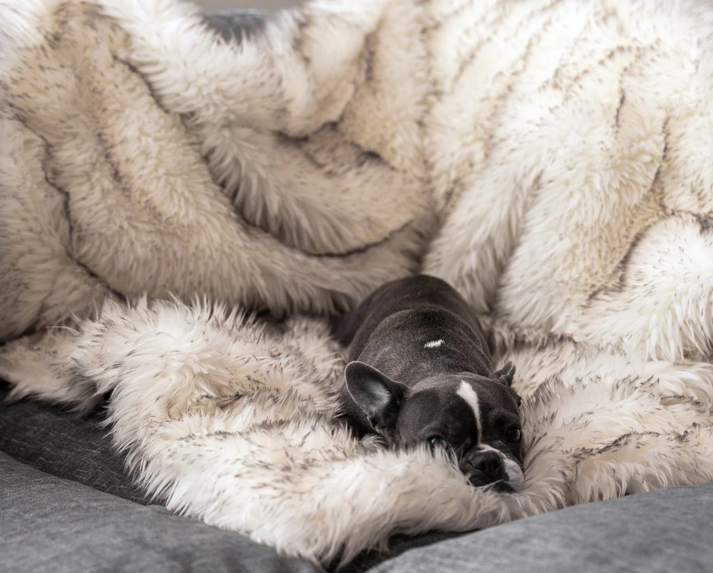 Waterproof Plush Blanket Pet Nest
