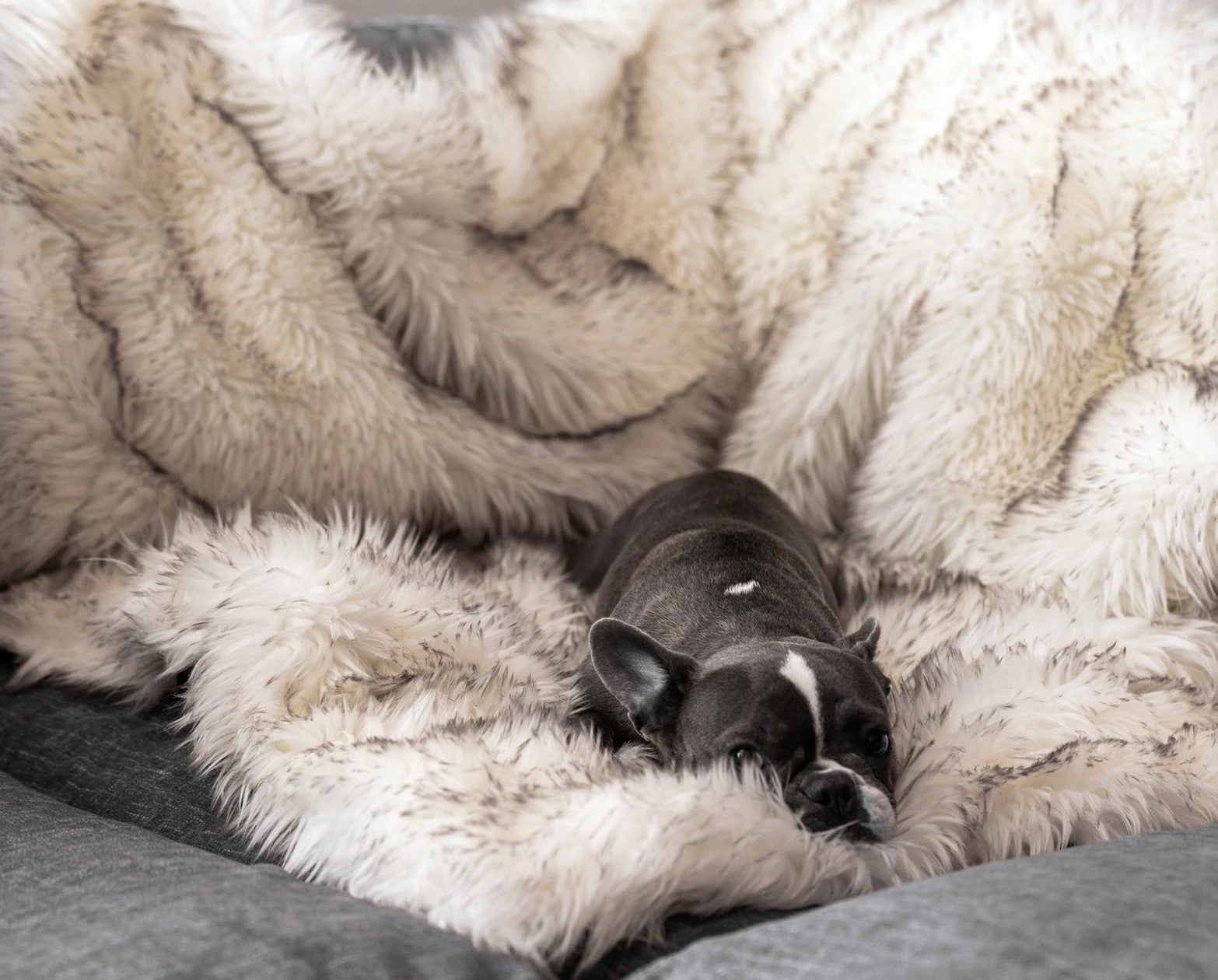 Waterproof Plush Blanket Pet Nest