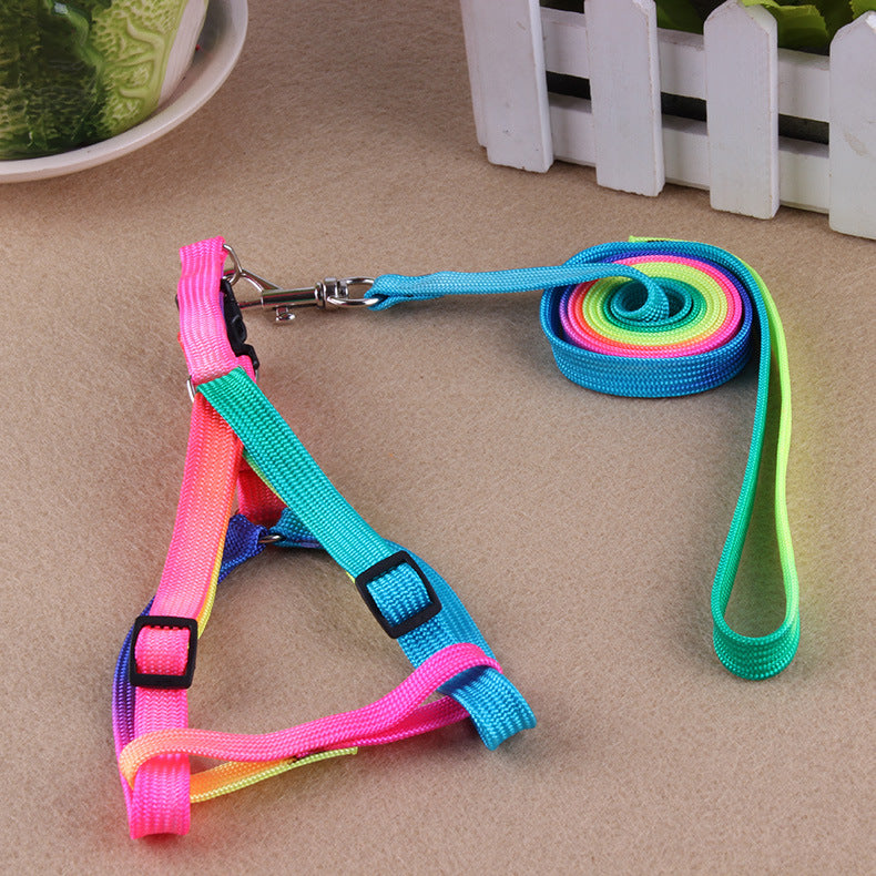 Leashes colorful