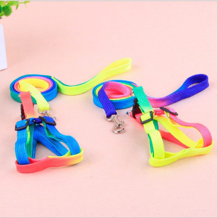 Leashes colorful
