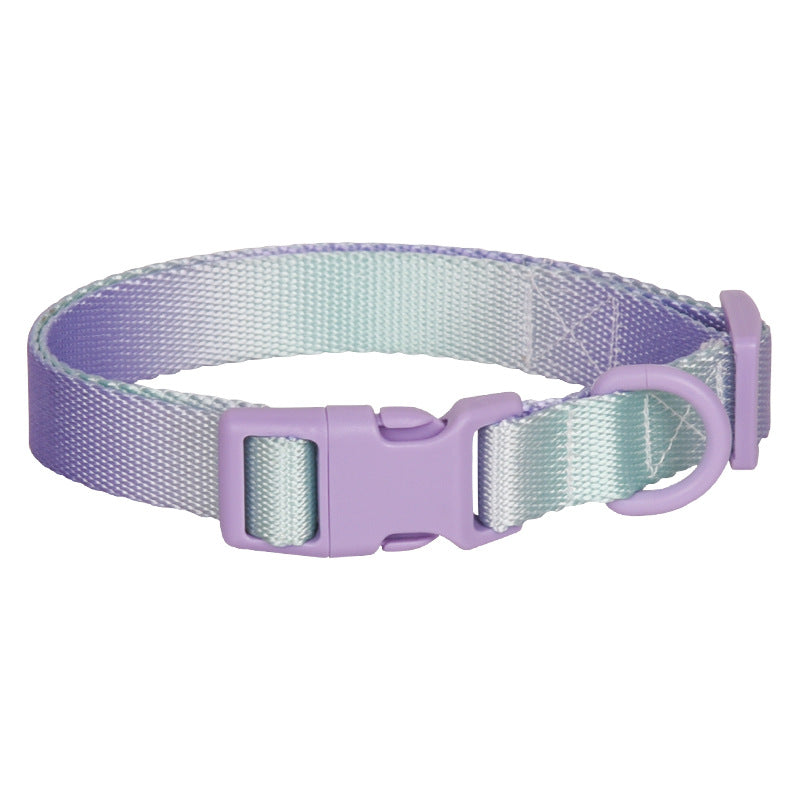 Dog Collar