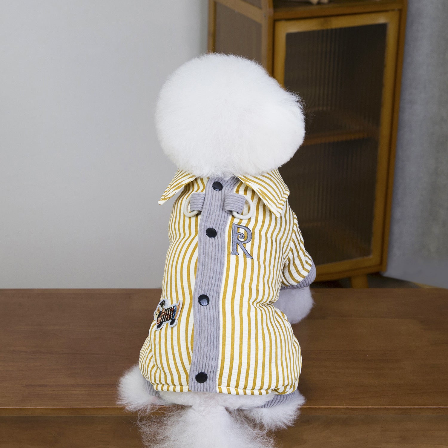Pet Jacket