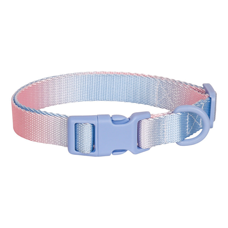 Dog Collar