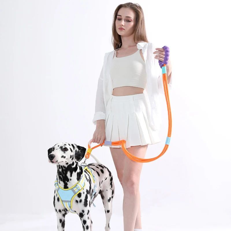 Versatile Pet Traction Leashes