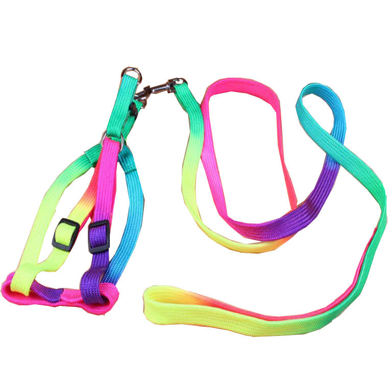 Leashes colorful