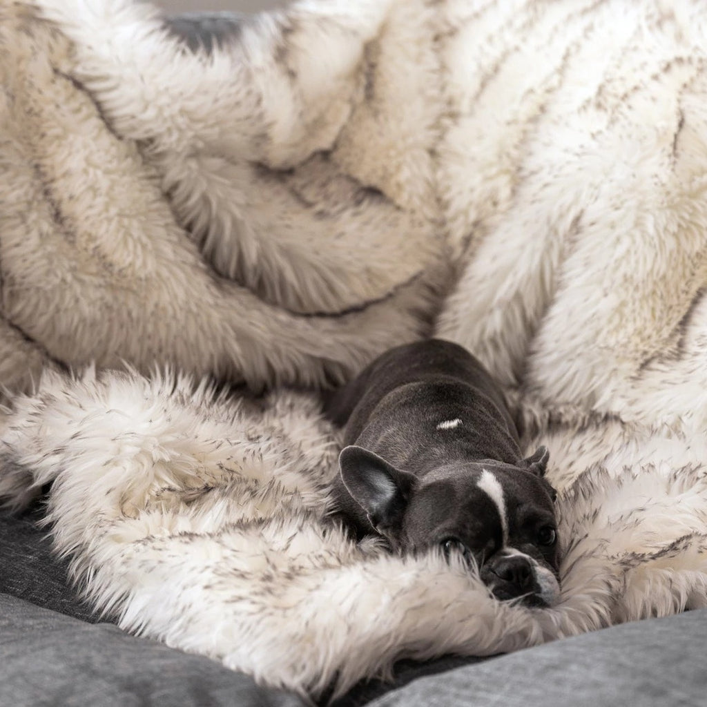 Waterproof Plush Blanket Pet Nest