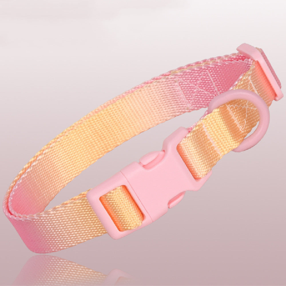 Dog Collar