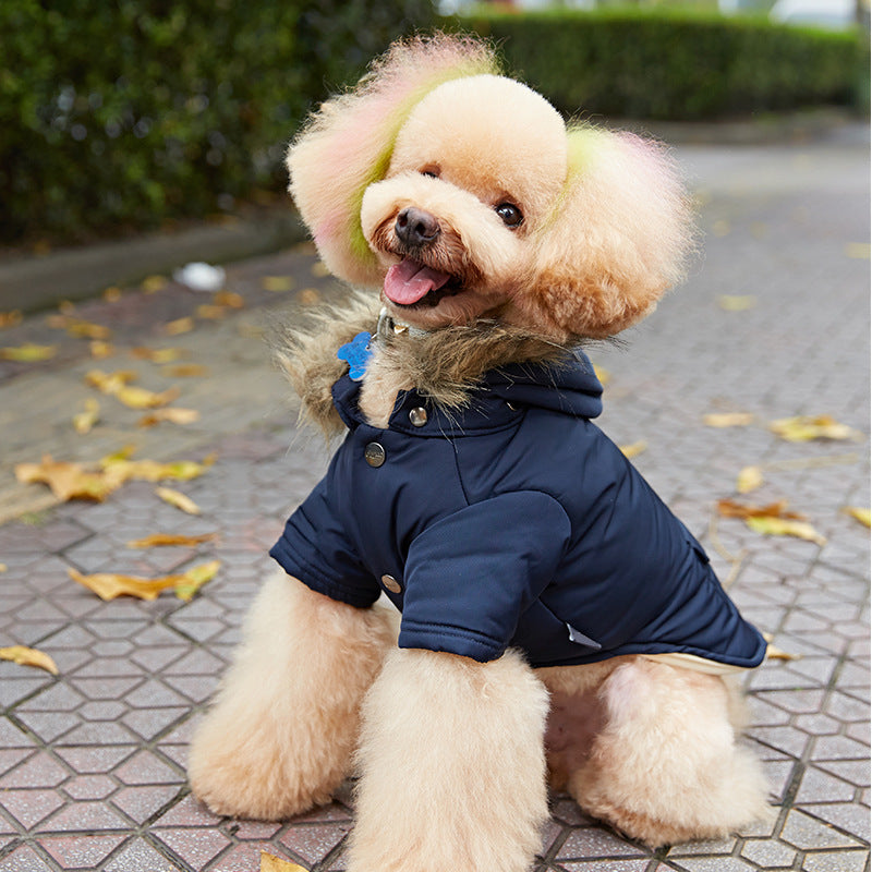 Dog Jackets