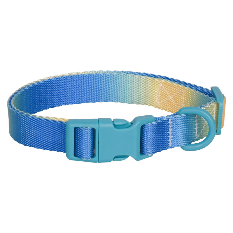 Dog Collar