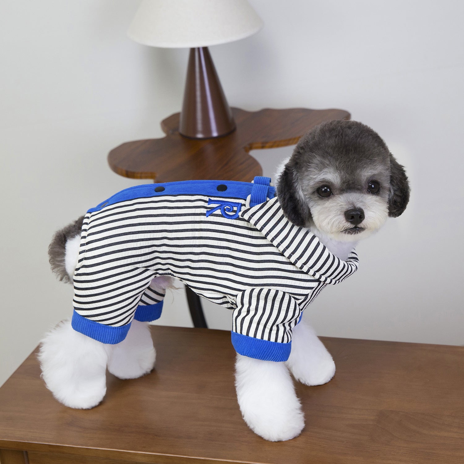 Pet Jacket